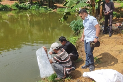 Samsuar Terima Bantuan Benih Ikan dari PT Gandaerah