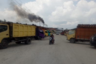 TKWL Bikin Petani Sawit Menjerit, Ini Buktinya