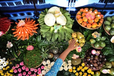 Pertanian Disanjung, Tapi Anggarannya tak Didukung