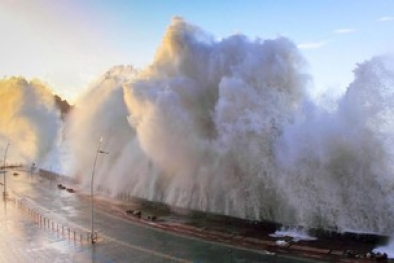 Analisis BMKG Terkait Tsunami yang Disebut Bisa Sapu Istana