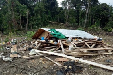 Rumah Petani Dihancurkan Kawanan Gajah