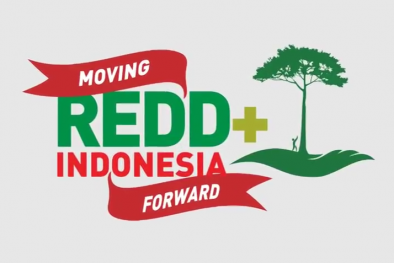 Kerja Sama REDD Berakhir, Dua Pakar Ini Ngakak