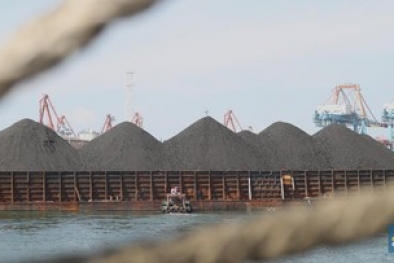 Nuklir Jadi Energi Masa Depan, Batu Bara Gimana?