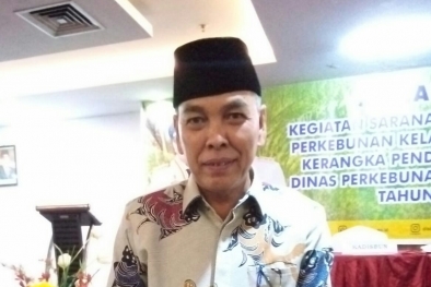 Riau Jaga Harga TBS di Atas Terus