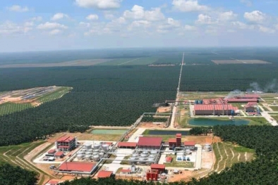 Tak Semua Perusahaan Sawit Nikmati Naiknya Harga CPO