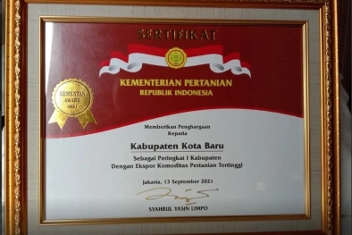 Ini Dia Kabupaten Pengekspor Minyak Sawit Tertinggi