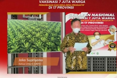 Ekspor Tumbuh 155%, GAPKI: Sawit Tetap Tulang Punggung Ekonomi