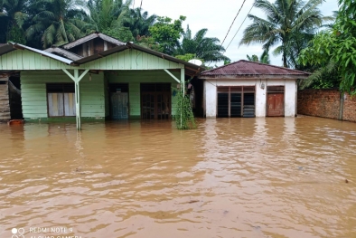 Diduga Gegara Replanting Sawit PT Arindo, 160 Rumah Terendam Banjir