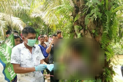 Pria Ini Bunuh Diri di Kebun Sawit, Tinggalkan Catatan