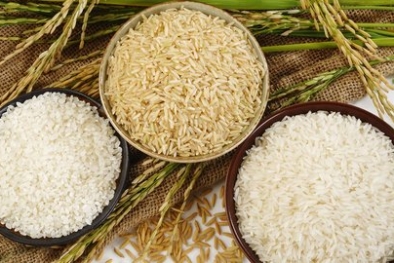 Beras Alami Penurunan Harga Sepanjang September 2021