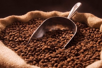 Produk Kopi Indonesia Tembus Pasar Amerika Serikat