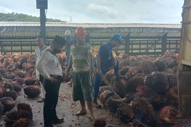 Musim Trek, TBS Jadi Rebutan PKS