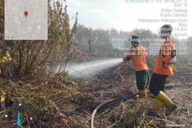 Dua Hari Berkobar, Api di Lahan Gambut Berhasil Dipadamkan
