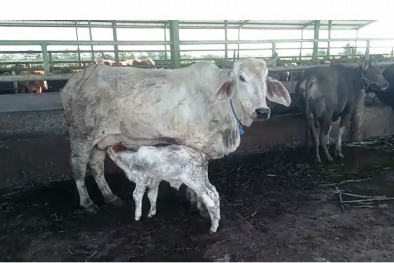 Utang Adalah Peluang