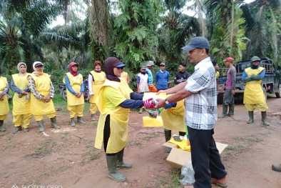 PSR dan Harga, Dilema Pemilik Sawit Tua