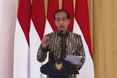 Ingatkan Pemerintah Daerah, Jokowi: Jangan Latah, Sawit Rame Semua Nanam Sawit