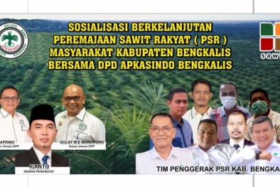 Dukung Percepatan PSR, APKASINDO  Bengkalis Gelar Sosialisasi