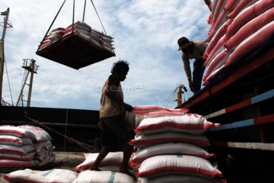 Harga Pupuk Cekik Leher Petani, Produsen Bilang Begini