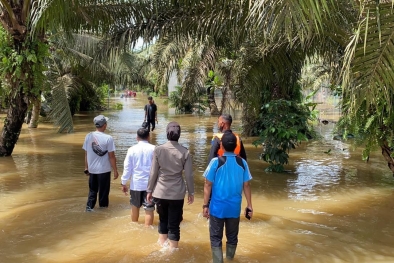 Melangsir Sawit di Tengah Genangan Banjir