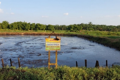 Di PKS, tak Ada Bagian TBS yang tak Berguna