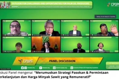 Indonesia dan Malaysia Siapkan Strategi Terkait Sawit