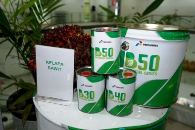 Rencana Bauran Unik di Tahun Depan, Ini Kata 