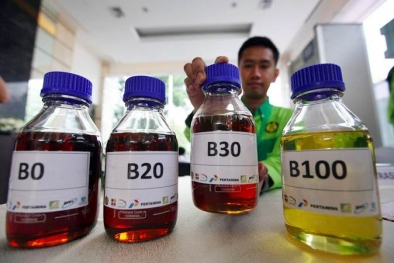 Mandatori Biodiesel Bukti Indonesia Turunkan GRK