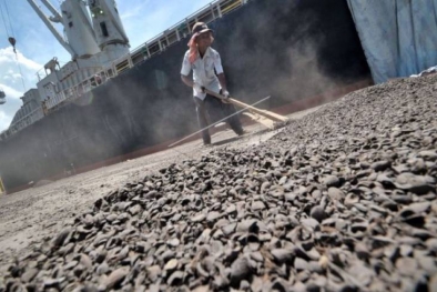 Tak Ada Lawan, Cangkang Sawit Indonesia Paling Mantap