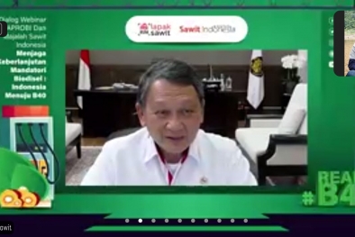 EBT Ditargetkan Bakal Penuhi 23 Persen Kebutuhan Energi Nasional 2025