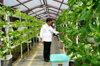 Pesan Menteri Syahrul ke Petani Untuk Hadapi Perubahan Iklim