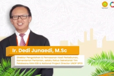 Yang Dapat ISPO Minim, Karena Fokus Urus Kebun dalam Kawasan Hutan?