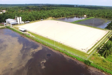 BUMN Perkebunan ini Jualan Listrik, Bahan Bakunya Limbah