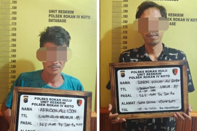 Curi Buah Sawit, Dua Warga Rohul Diringkus Polisi