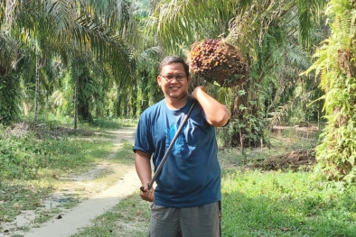 Harga Sawit di Sumsel Naik, Masa Depan Cerah
