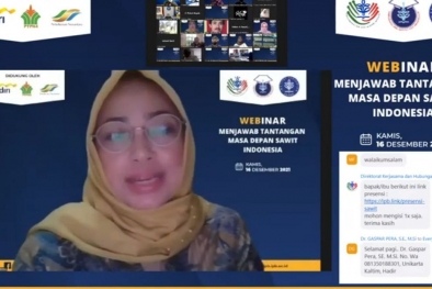 Sawit Merupakan Tulang Punggung Ekonomi Indonesia