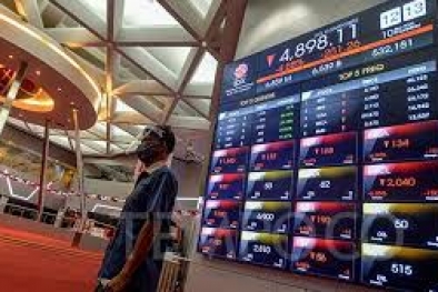 Perdagangan Saham Perusahaan Sawit ini Dihentikan