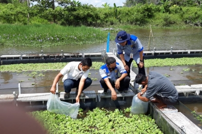 Petani Dibantu Beternak Ikan Untuk Tambah Penghasilan