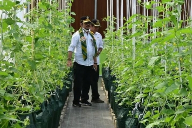 Bercocok Tanam Tanpa Menunggu Musim dan Iklim, Begini Caranya