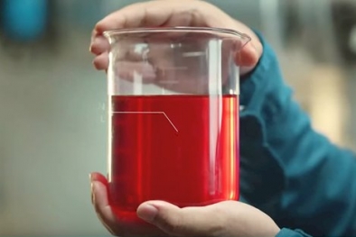 Mengenal Lebih Dekat IVO