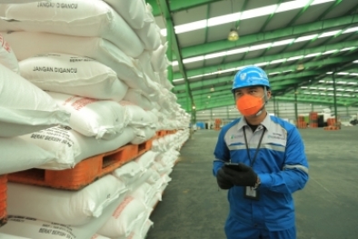 Gara-gara Pupuk, NTUP Petani Sawit Turun