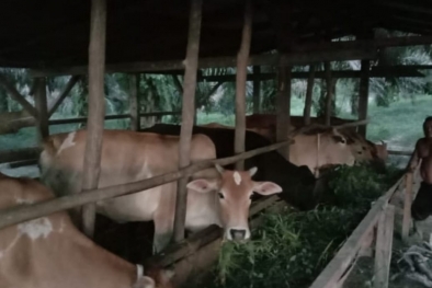 SISKA Beri Surianto Penghasilan Tambahan Jutaan Rupiah