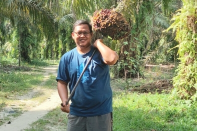 Sebentar Lagi Harga Sawit Petani Ditentukan Pemerintah, Bukan PKS