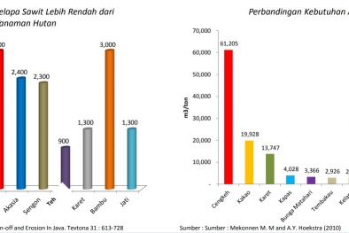 Tanaman Ini Lebih Bersahabat Dengan Alam. Ini 6 Buktinya...