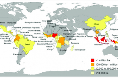 Ini 43 Negara Sawit Dunia, Guinea Level Kedua