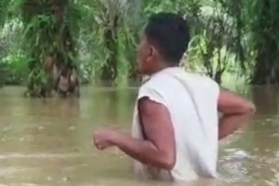 Banjir, Pekebun Kesulitan Panen Sawit