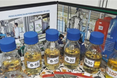 Hanya Ada di Indonesia! Habis Rp110 Triliun, 