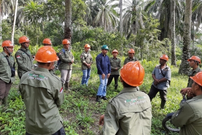 Dicekoki Ilmu RSPO Menuju ISPO