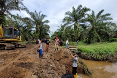 Kebun Sawit Diterjang Banjir, Jembatan Putus