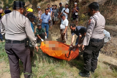 Belum Sempat Panen Sawit, Palen Tewas Mengenaskan Diinjak Gajah
