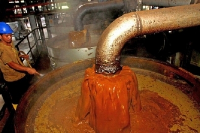 Pembatasan Ekspor CPO Dinilai untuk Jaga Stok dalam Negeri